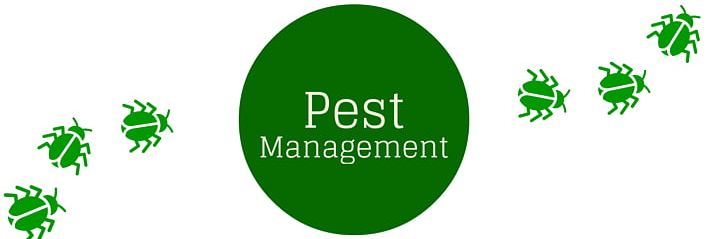Houseplant Integrated Pest Management PNG, Clipart, Brand, Drawing, Flowerpot, Grass, Green Free PNG Download