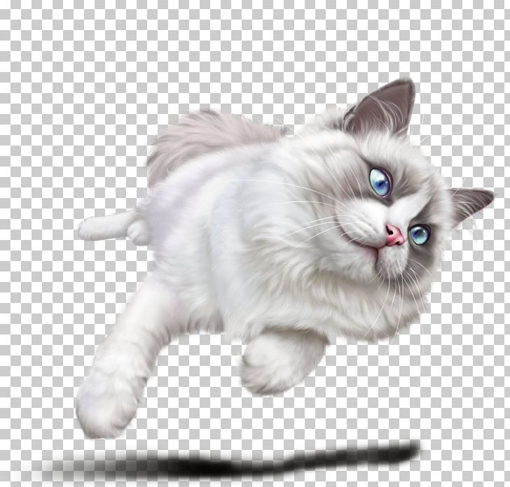 Kitten Ragamuffin Cat Ragdoll Whiskers Domestic Short-haired Cat PNG, Clipart, Animals, Asian Semi Longhair, Blue, Carnivoran, Cat Free PNG Download