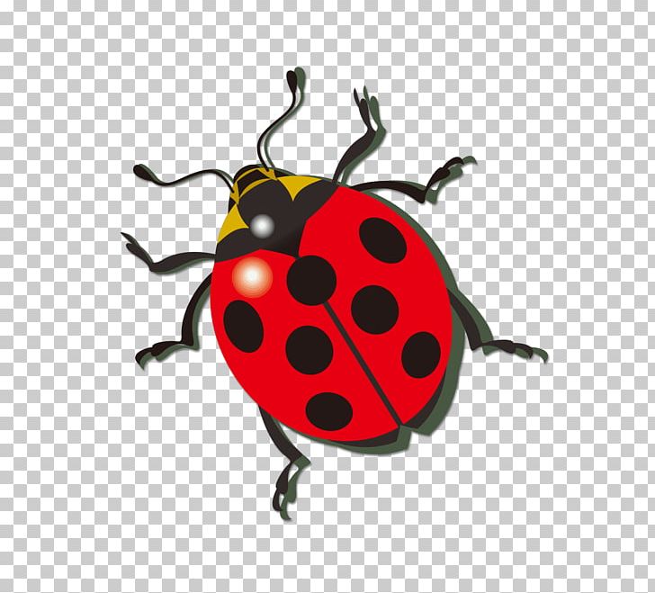 Ladybird Icon PNG, Clipart, Beetle, Cartoon, Computer Icons, Cute Ladybug, Encapsulated Postscript Free PNG Download