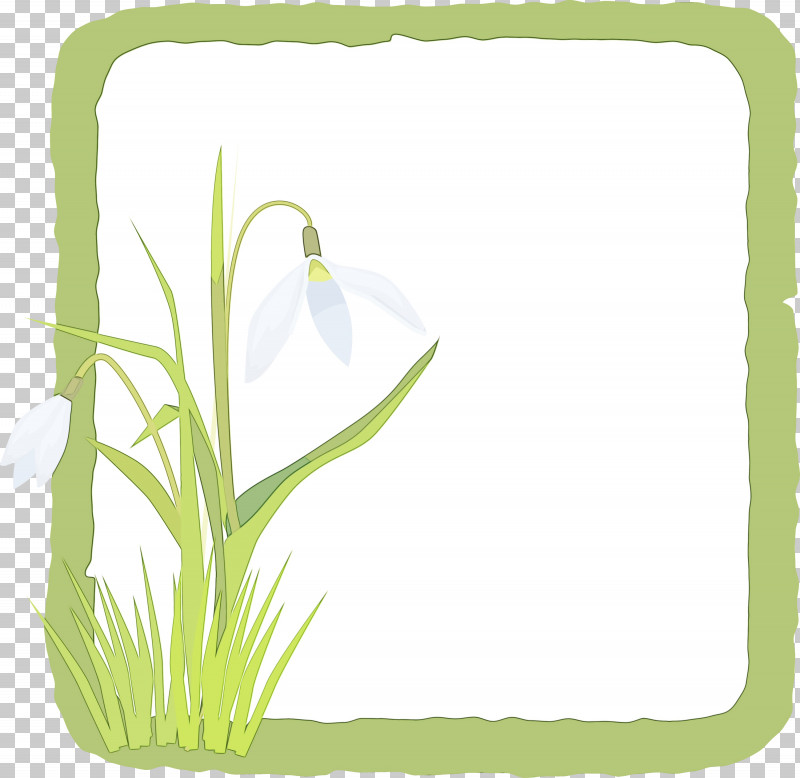 Picture Frame PNG, Clipart, Biology, Flower, Flower Frame, Grasses, Leaf Free PNG Download