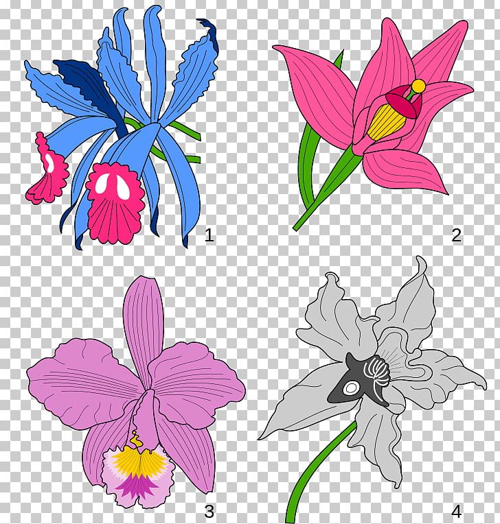 Cattleya Trianae Floral Design Orchids Heraldry PNG, Clipart, Art, Butterfly, Cartoon, Fictional Character, Flower Free PNG Download