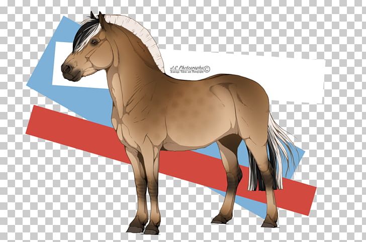 Foal Stallion Mare Pony Colt PNG, Clipart, Adoption, Art, Bridle, Colt, Deviantart Free PNG Download