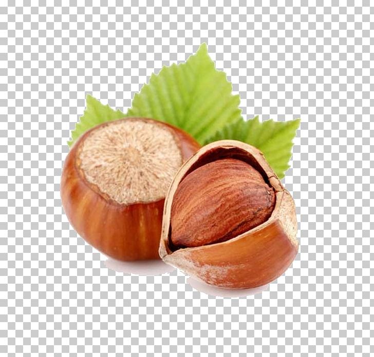 Hazelnut Flavor Oil Food PNG, Clipart, Bottle, Chocolate, Common Hazel, Dried Fruit, Flavor Free PNG Download