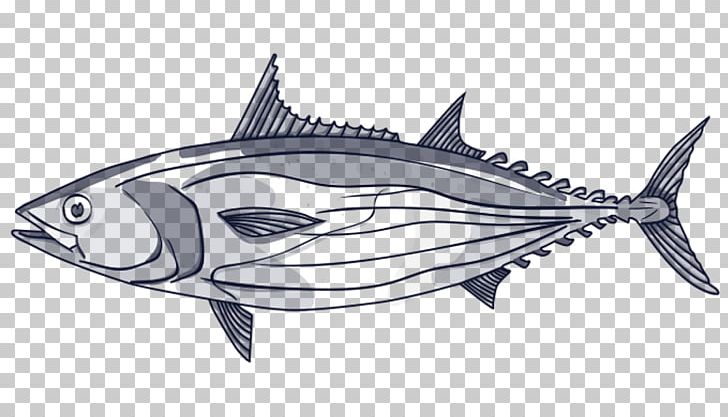 Thunnus Swordfish Line Art Skipjack Tuna PNG, Clipart, Artwork, Atlantic Bluefin Tuna, Atlantic Bonito, Bonito, Bony Fish Free PNG Download