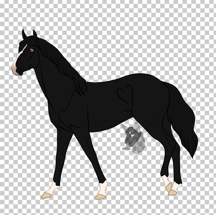 Mustang Foal Stallion Mare Colt PNG, Clipart, Bridle, Colt, English Riding, Equestrian, Equestrian Sport Free PNG Download