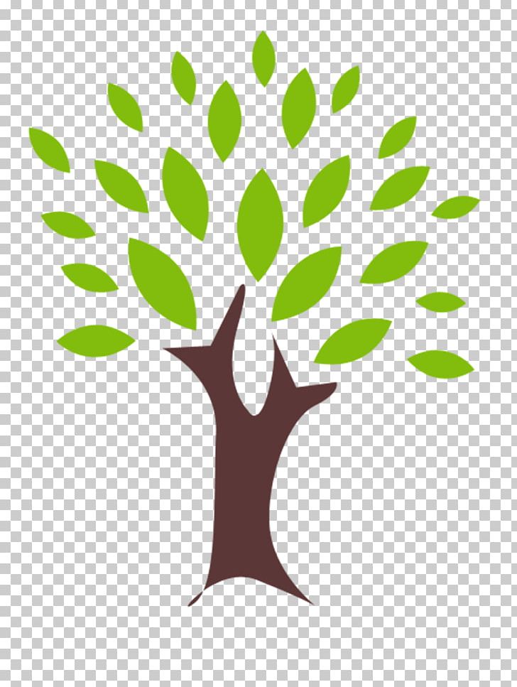Tree Drawing PNG, Clipart, Branch, Computer Icons, Deciduous, Drawing, Encapsulated Postscript Free PNG Download