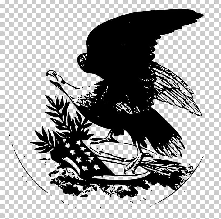 Bird Black And White Monochrome Photography Art PNG, Clipart, Animals, Art, Beak, Bird, Bird Of Prey Free PNG Download