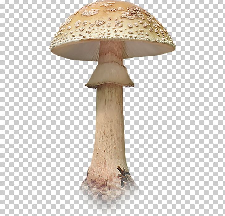 Edible Mushroom Fungus PNG, Clipart, Clip Art, Common Mushroom, Computer Icons, Download, Edible Free PNG Download