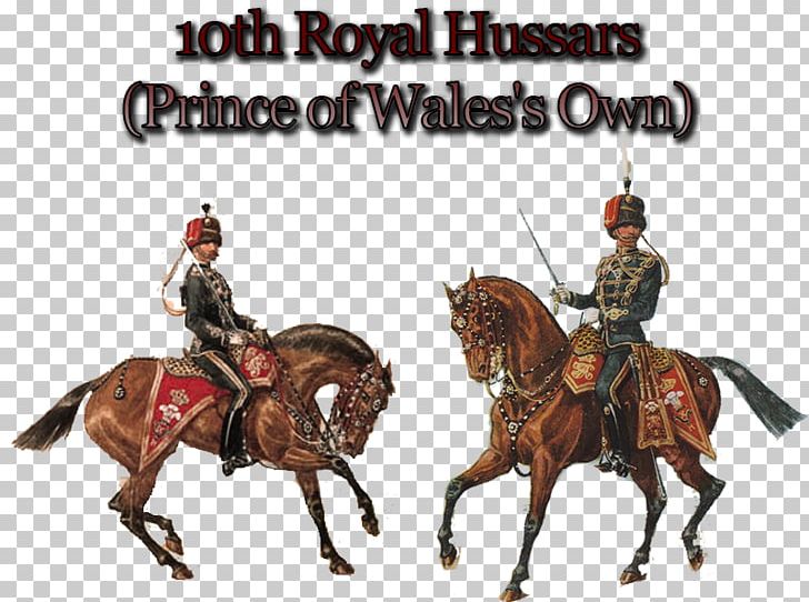 10th Royal Hussars Polish Hussars Mustang Wales PNG, Clipart, Bridle, Condottiere, Cowboy, Horse, Horse Like Mammal Free PNG Download