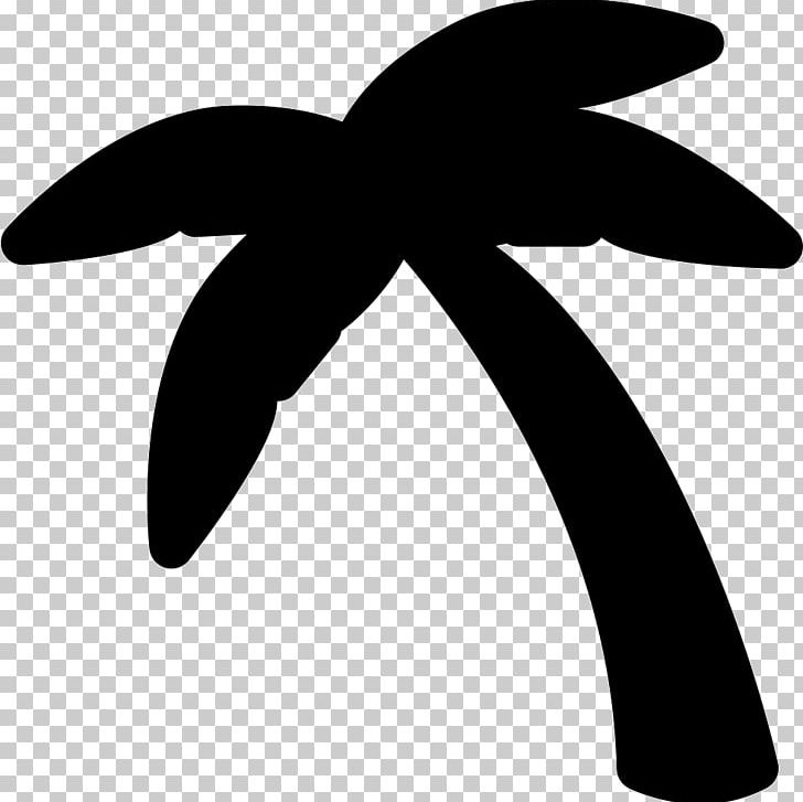Arecaceae Coconut Computer Icons Tree PNG, Clipart, Angle, Arecaceae, Black And White, Coconut, Coconut Tree Free PNG Download