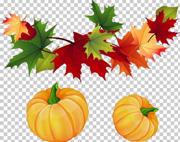 Autumn Leaf Color PNG, Clipart, Autumn Leaf Color, Calabaza, Cartoon, Creative, Food Free PNG Download