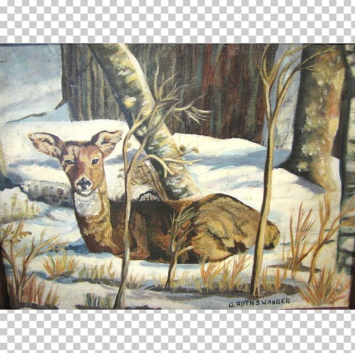 Elk Deer In The Woods Red Deer White-tailed Deer PNG, Clipart, Animals, Antler, Art, Art Museum, Deer Free PNG Download