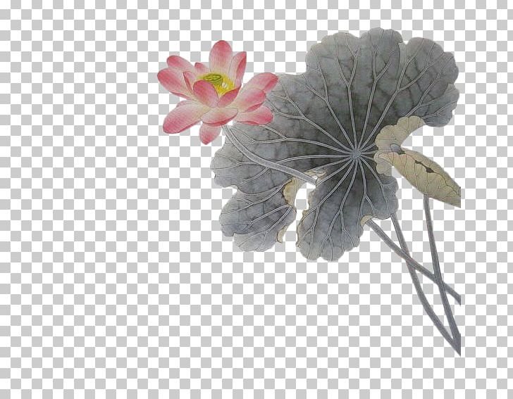 Ink Wash Painting Gongbi Nelumbo Nucifera PNG, Clipart, Chinese, Chinoiserie, Download, Flora, Flower Free PNG Download