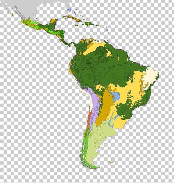 Latin America South America Map Geography PNG, Clipart, Americas, Biome, Clip Art, Continent, Country Free PNG Download