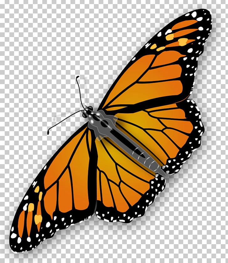 Monarch Butterfly PNG, Clipart, Arthropod, Brush Footed Butterfly, Butterfly, Clip Art, Clipart Free PNG Download