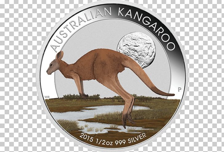 Perth Mint Coin Silver Gold PNG, Clipart, Australia, Bullion Coin, Coin, Fauna, Gift Free PNG Download