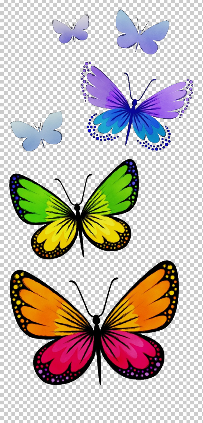 Moths And Butterflies Butterfly Insect Pollinator Wing PNG, Clipart, Brushfooted Butterfly, Butterfly, Colias, Insect, Lycaena Free PNG Download