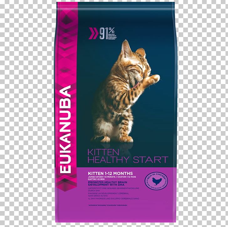 Cat Food Kitten Chicken As Food Eukanuba PNG, Clipart,  Free PNG Download