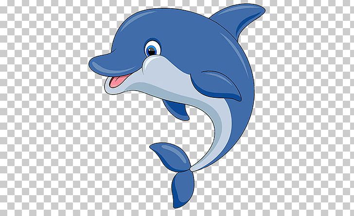 Common Bottlenose Dolphin Tucuxi Wholphin Marine Biology PNG, Clipart, Animal, Animal Figure, Animals, Animated Cartoon, Biology Free PNG Download