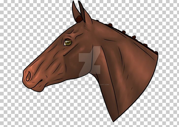 Mustang Mane Stallion Pony Rein PNG, Clipart, Bridle, Brown, Equestrian, Halter, Head Free PNG Download