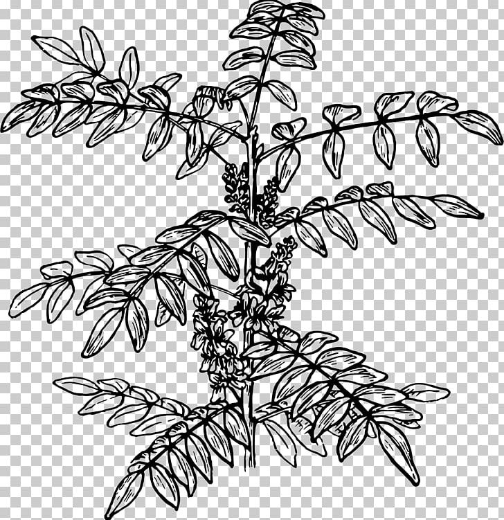 Twig Plant Stem Line Art Leaf PNG, Clipart, Artwork, Black And White, Branch, Flower, Flowering Plant Free PNG Download