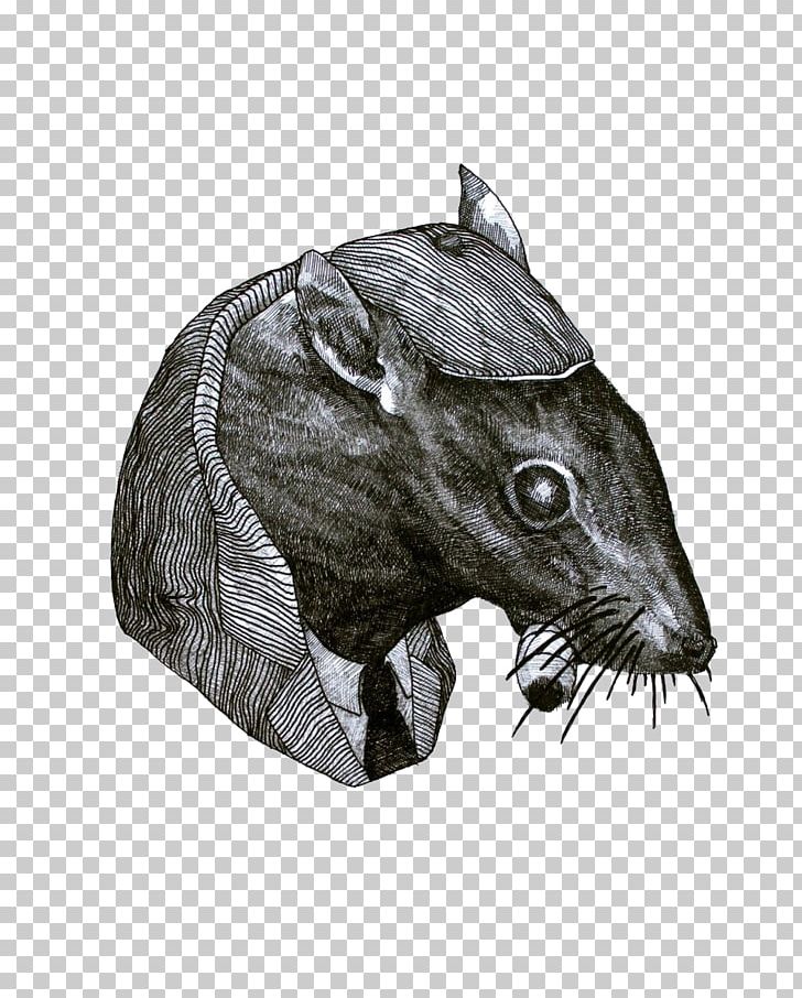 Rat Black And White Drawing Illustration PNG, Clipart, Background Black, Black, Black And White, Black Background, Black Board Free PNG Download