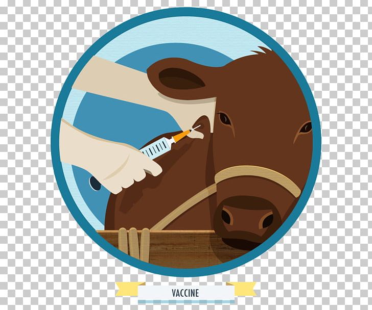 Cattle Mammal Snout PNG, Clipart, Cattle, Cattle Like Mammal, Mammal, Snout Free PNG Download