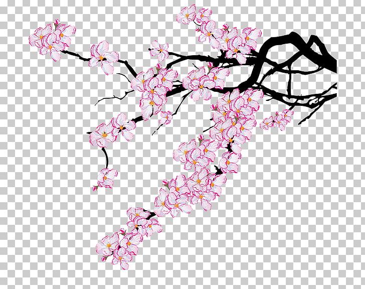 Cherry Pie Cherry Blossom PNG, Clipart, Black Cherry, Blossom, Branch, Cherry, Cherry Blossom Free PNG Download