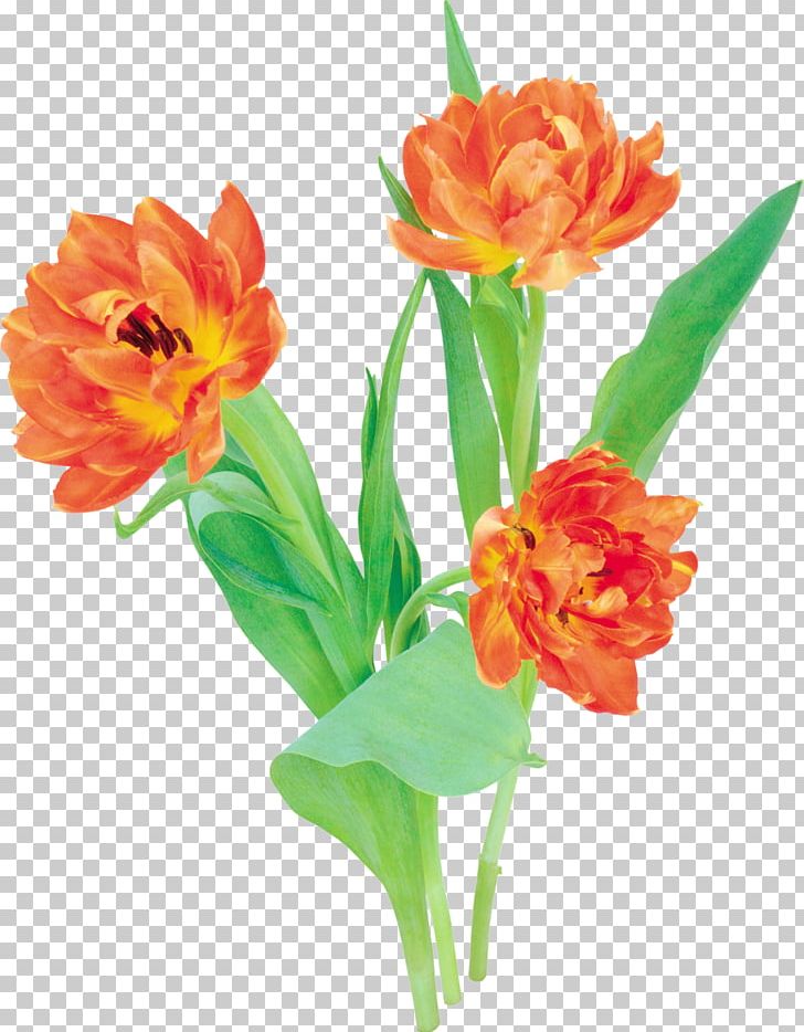 Cut Flowers Tulip Flower Bouquet PNG, Clipart, Artificial Flower, Cut Flowers, Floral Design, Floristry, Flower Free PNG Download