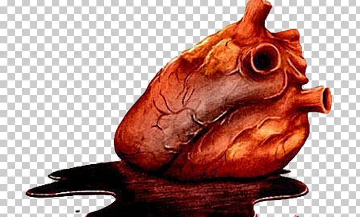 How Your Heart Works Anatomy The Tell-Tale Heart PNG, Clipart, Animal Source Foods, Artificial Heart, Blood, Feather, Heart Free PNG Download