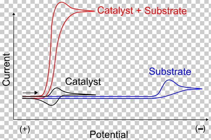 Enzyme Substrate Catalysis Electrocatalyst Graph Of A Function Voltammetry PNG, Clipart, Angle, Area, Blue, Catalysis, Cyclic Voltammetry Free PNG Download