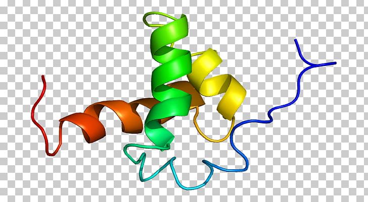 Nuclear Receptor Co-repressor 2 Protein Histone Corepressor PNG, Clipart, Artwork, Chromatin, Corepressor, Food, Gene Free PNG Download
