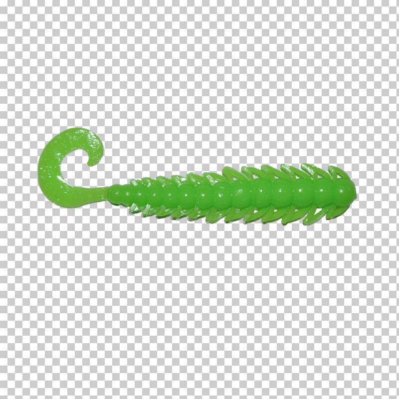 Green Caterpillar PNG, Clipart, Caterpillar, Green Free PNG Download