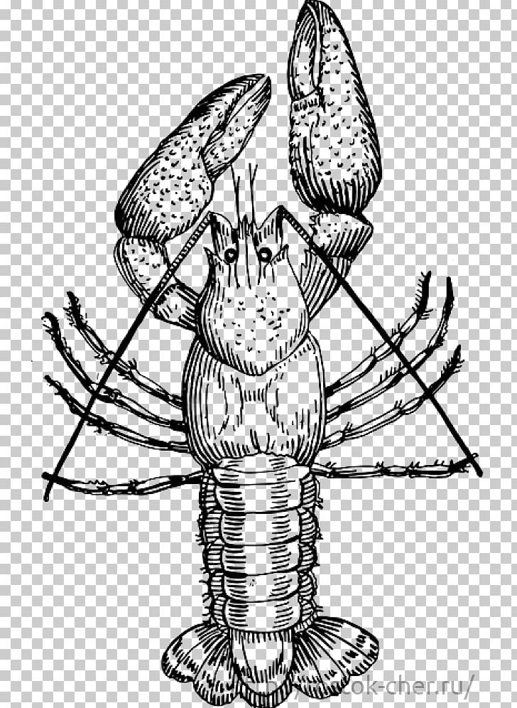 Crayfish Drawing Procambarus Clarkii PNG, Clipart, Art, Artwork, Black And White, Boiling, Cartoon Free PNG Download