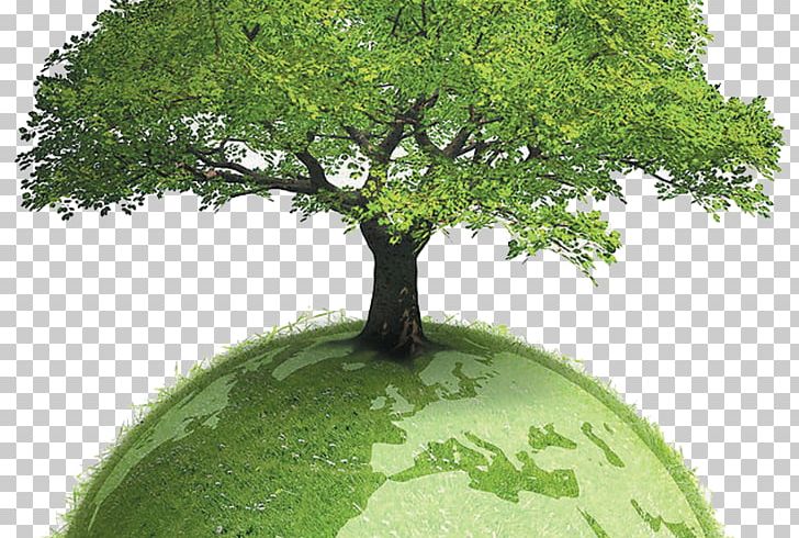 Environmentally Friendly Sustainability Sustainable Development Paper Environmentalism PNG, Clipart, Branch, Business, Carbon Footprint, Caring For The Earth, Cherish Free PNG Download