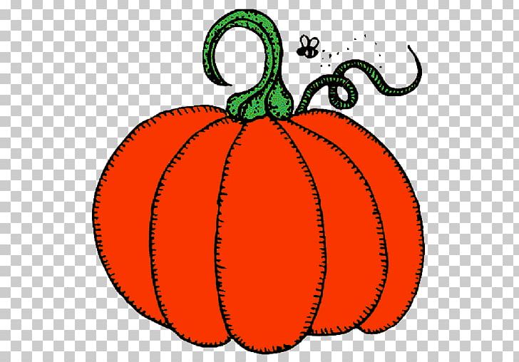 Pumpkin Drawing Crookneck Squash PNG, Clipart,  Free PNG Download