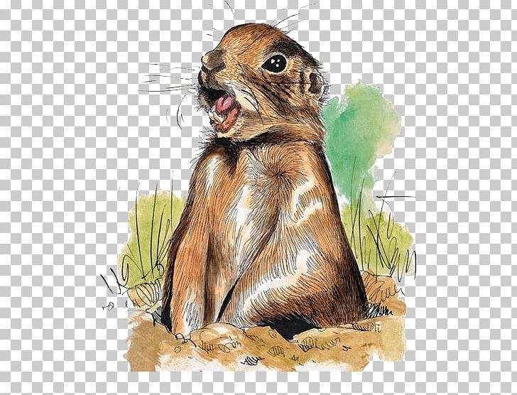 Squirrel Prairie Dog Marmot Hare Illustration PNG, Clipart, Animal, Animals, Cartoon, Cartoon Squirrel, Comics Free PNG Download