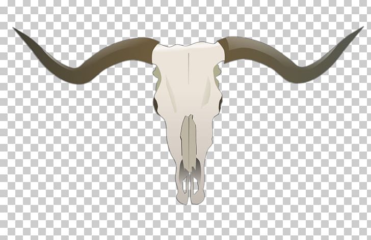 Texas Longhorn English Longhorn Skull PNG, Clipart, Bone, Bull, Cattle, Cattle Like Mammal, Cow Goat Family Free PNG Download