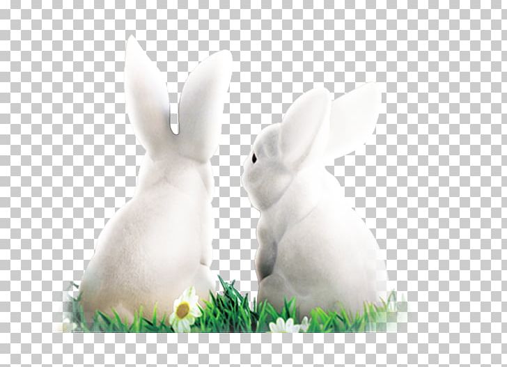 White Rabbit Domestic Rabbit Easter Bunny Hare PNG, Clipart, Animal, Black White, Cartoon, Download, Fauna Free PNG Download