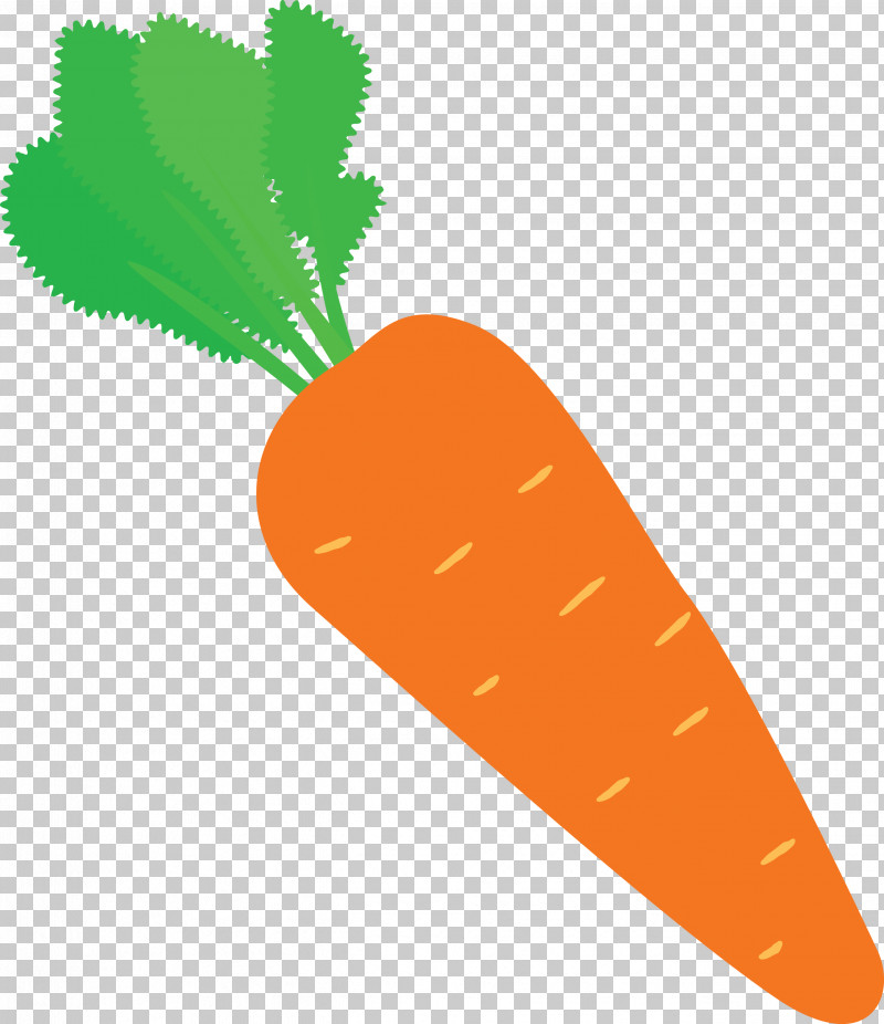 Carrot PNG, Clipart, Agriculture, Agrii, Carrot, Crop, Farm Free PNG Download