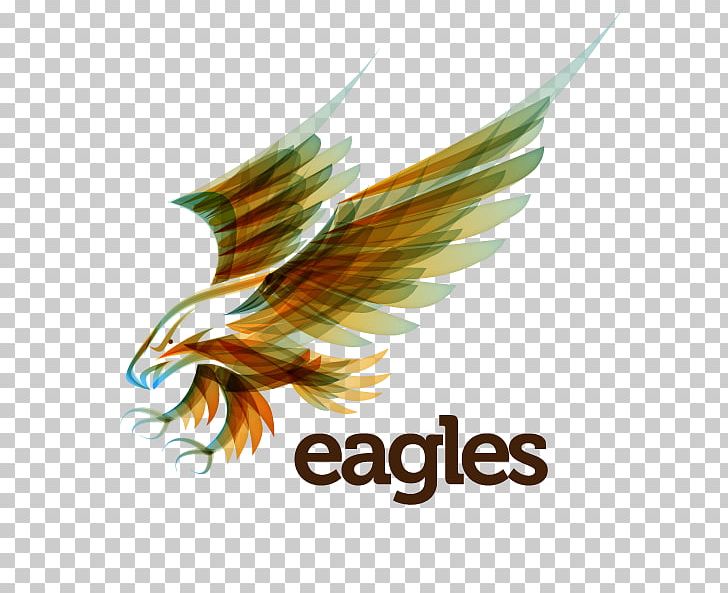Eagle Png Logo - Simmons College Of Kentucky Clipart (#325378) - PikPng