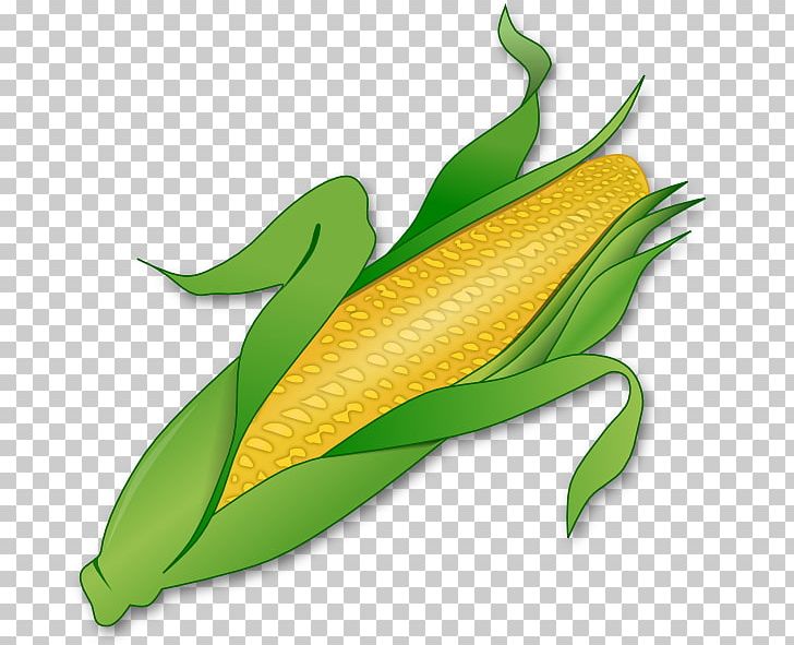 Corn On The Cob Maize Sweet Corn PNG, Clipart, Commodity, Corncob, Corn On The Cob, Download, Food Free PNG Download