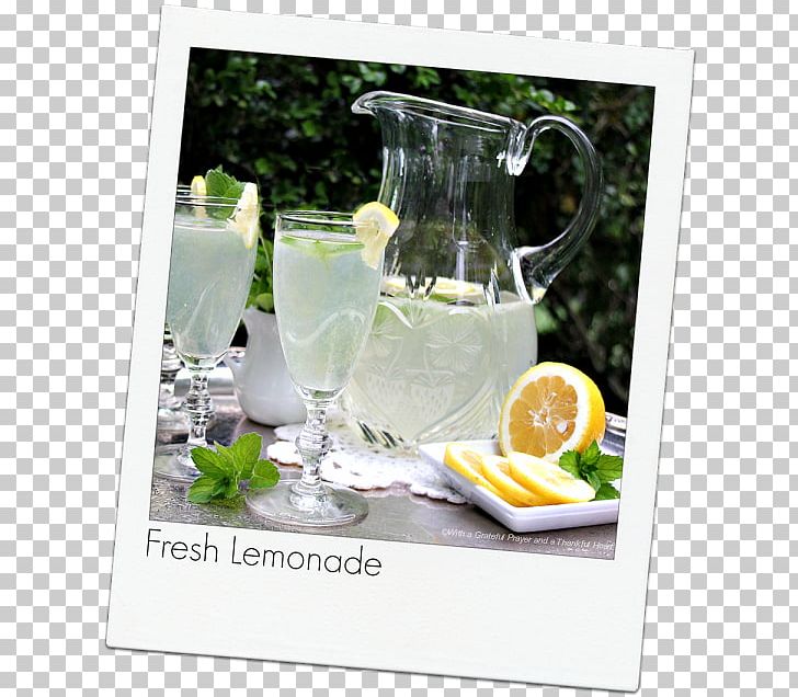 Gin And Tonic Table-glass Lemonade PNG, Clipart, Barware, Bored, Drink, Drinkware, Gin Free PNG Download