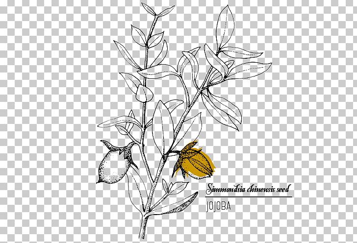 Jojoba Oil Plant Floral Design Treelet PNG, Clipart, Artwork, Black And White, Branch, Cosmetics, Cut Flowers Free PNG Download