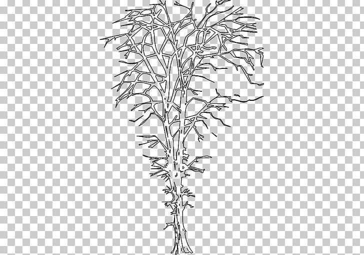 Twig Line Art Plant Stem Leaf White PNG, Clipart, Black And White, Branch, Drawing, Flora, Flowering Plant Free PNG Download