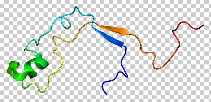 KMT2A MLL Histone Methyltransferase PNG, Clipart, Acute Lymphoblastic Leukemia, Area, Artwork, Crebbinding Protein, Enzyme Free PNG Download