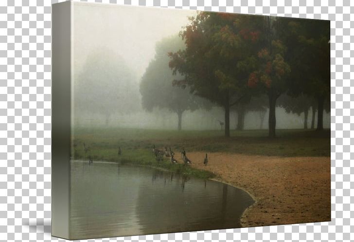Water Resources Stock Photography Frames Tree PNG, Clipart, Ashley Pond, Fog, Grass, Landscape, Mist Free PNG Download