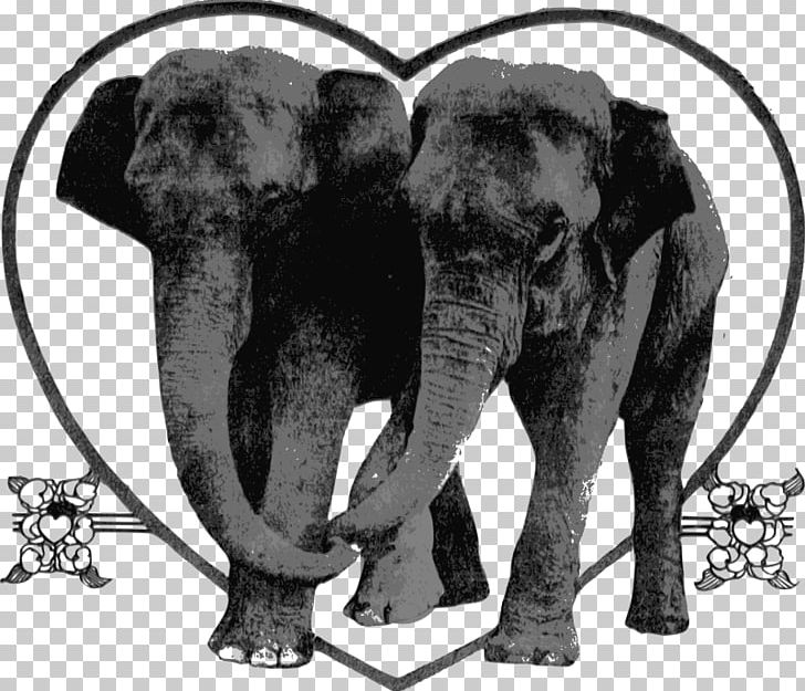 White Elephant Elephant Festival PNG, Clipart, African Elephant, Animal, Animals, Black And White, Elephant Free PNG Download