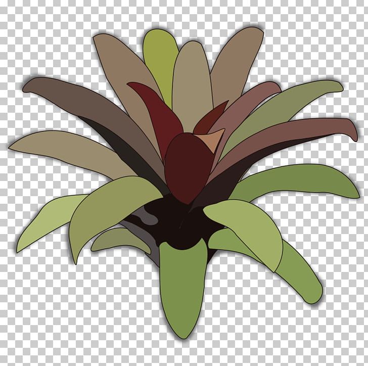 Computer Icons Bromelia Plant PNG, Clipart, Bromelia, Bromeliads, Clip Art, Computer Icons, Description Free PNG Download