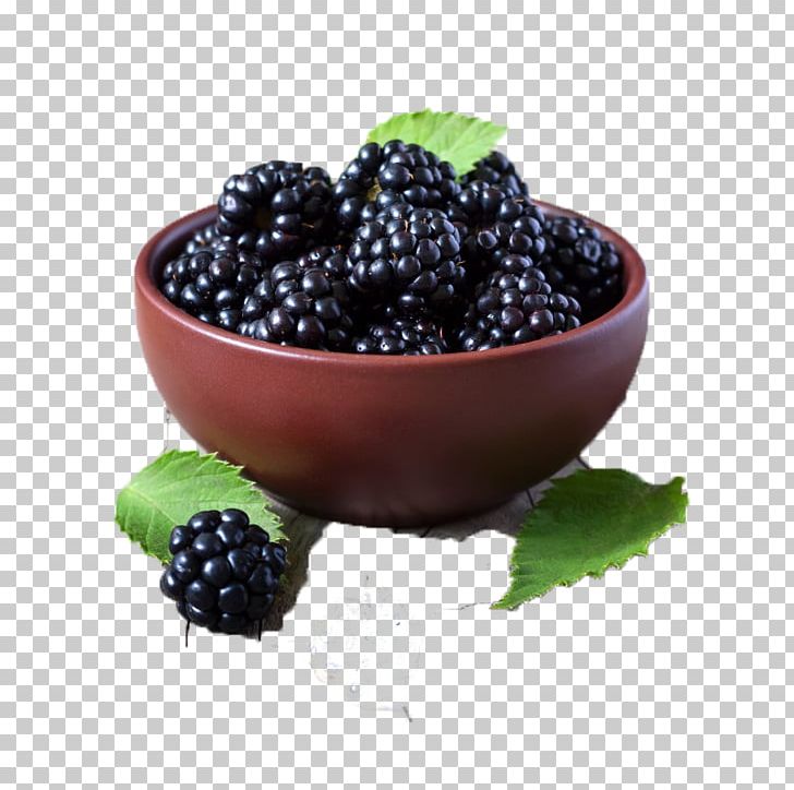 Juice Frutti Di Bosco Blackberry Cheesecake Muffin PNG, Clipart, Berry, Bilberry, Blackberries, Blueberry, Eating Free PNG Download